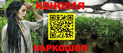 хмурый Малоярославец