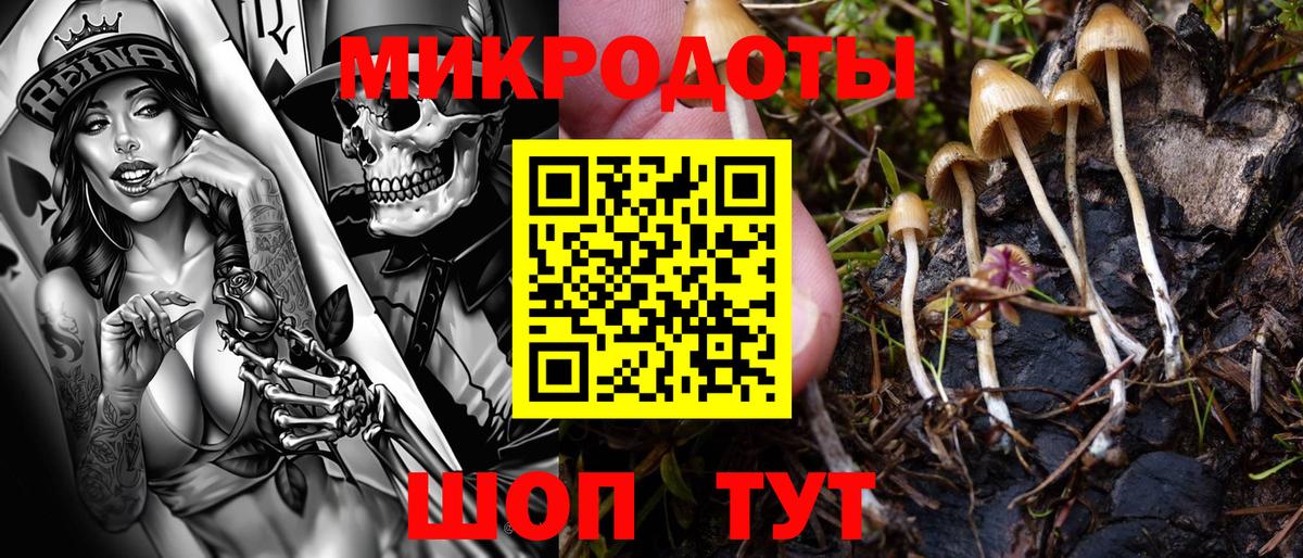 Ялта  Галлюциногенные грибы MAGIC MUSHROOMS  Псилоцибиновые грибы Magic Shrooms  Вход с VPN 